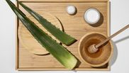 Măști naturale pentru părul uscat făcute în casă. Ingredientele care hidratează firul de păr
