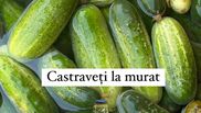 Castraveți murați