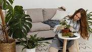 Metodele naturale prin care poți avea grijă de plantele de apartament