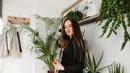 Cum să ai grijă de plantele de apartament în 4 pași