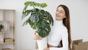 mobilier potrivit pentru casa