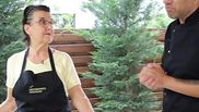 Chef Ștefan Popescu și soacra lui