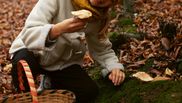 15 activități pe care să le faci toamna aceasta 