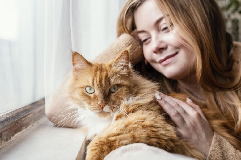 Top 8 rase de pisici care trăiesc mult. Cum să le asiguri o viață lungă și sănătoasă