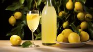 Cum prepară Gabriela Criseta limoncello? Trucul vedetei pentru a curăța citricele tratate
