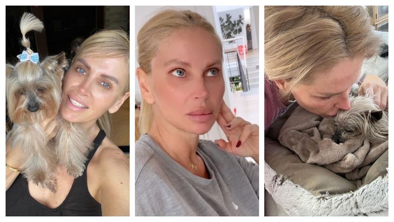 Motivul pentru care Andreea Bănică nu își mai dorește animale de companie. Ce a pățit artista? „Nu mă mai pot apropia de animale, nu mă mai atrag.” Motivul pentru care Andreea Bănică nu își mai dorește animale de companie. Ce a pățit artista? „Nu mă mai pot apropia de animale, nu mă mai atrag.”