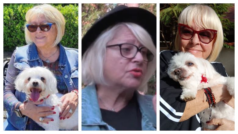 Ce crede Mirabela Dauer despre prieteniile adevărate? Artista a vorbit și despre câinii săi: „Atâta timp cât am o reținere și mi-e frică un pic, n-am!” Ce crede Mirabela Dauer despre prieteniile adevărate? Artista a vorbit și despre câinii săi: „Atâta timp cât am o reținere și mi-e frică un pic, n-am!”