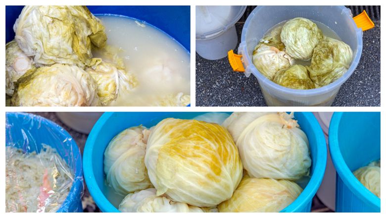 Ingredientul secret de 2 lei care păstrează zeama de la varza murată delicioasă și limpede. Poate rezista cu succes până la primăvară Ingredientul secret de 2 lei care păstrează zeama de la varza murată delicioasă și limpede. Poate rezista cu succes până la primăvară