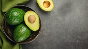avocado copt
