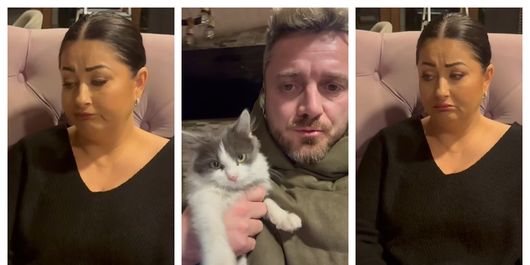 Ce s-a întâmplat cu pisica adoptată de Gabriela Cristea. “Așa ni s-a spus!”