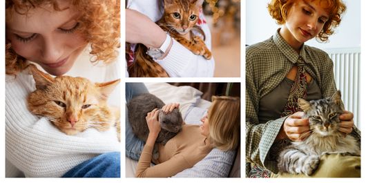 De ce își masează pisicile stăpânii? Cu siguranță nu te așteptai la numărul 4