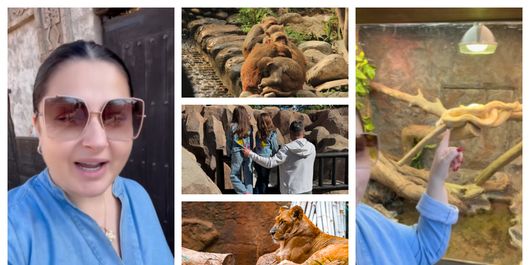 Ce preț a fost nevoită să plătească Gabriela Cristea în Tenerife, pentru a intra într-un parc cu animale? 