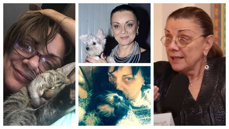 Ce regret are Carmen Tănase cu privire la animale? Actrița vorbește despre necuvântătoarele pe care le are acasă. „Când ele devin o problemă pe care nu prea ai cum să o rezolvi, nu mai e ok.” Ce regret are Carmen Tănase cu privire la animale? Actrița vorbește despre necuvântătoarele pe care le are acasă. „Când ele devin o problemă pe care nu prea ai cum să o rezolvi, nu mai e ok.”