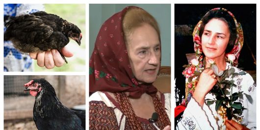 Amintirile Sofiei Vicoveanca din copilărie, atunci când dresase găina din curte și erau de nedezlipit. „Par povești frumoase, dar sunt foarte triste.”