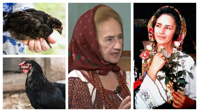 Amintirile Sofiei Vicoveanca din copilărie, atunci când dresase găina din curte și erau de nedezlipit. „Par povești frumoase, dar sunt foarte triste.” Amintirile Sofiei Vicoveanca din copilărie, atunci când dresase găina din curte și erau de nedezlipit. „Par povești frumoase, dar sunt foarte triste.”