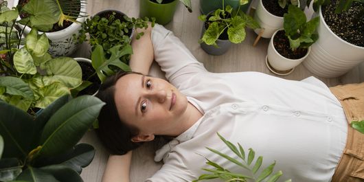 Plantele care îți îmbunătățesc somnul și atmosfera din dormitor