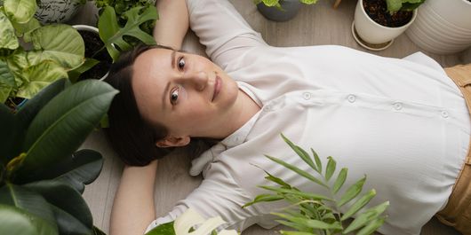 Plantele care îți îmbunătățesc somnul și atmosfera din dormitor