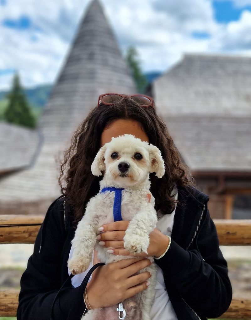 Monica Davidescu-fiică