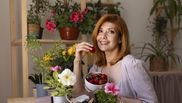 5 plante fructifere pe care să le crești în locuință