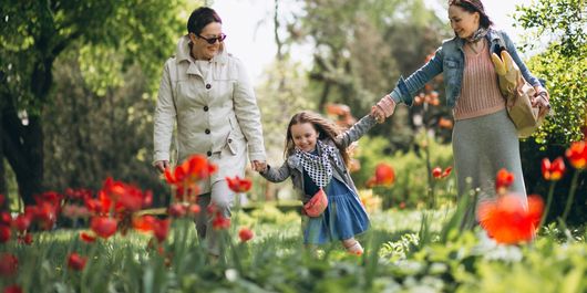 6 activități de primăvară pentru întreaga familie