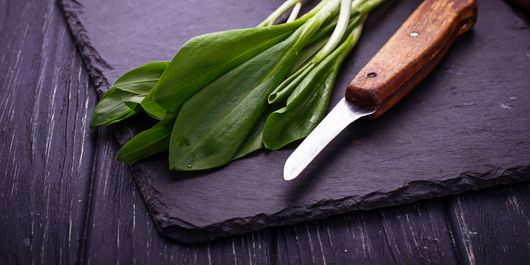 După ce a cules-o chiar ea, Irina Loghin a pregătit o salată de leurdă! Interpreta de muzică populară a explicat și cum o păstrează fresh, cât mai mult timp: 