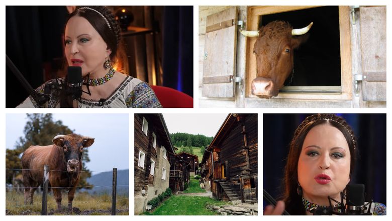 Maria Dragomiroiu, despre incidentul cumplit, în care mama sa era să fie ucisă de un taur: „A aruncat-o până la streașina casei, după a căzut și a mai trecut și peste ea.” Maria Dragomiroiu, despre incidentul cumplit, în care mama sa era să fie ucisă de un taur: „A aruncat-o până la streașina casei, după a căzut și a mai trecut și peste ea.”