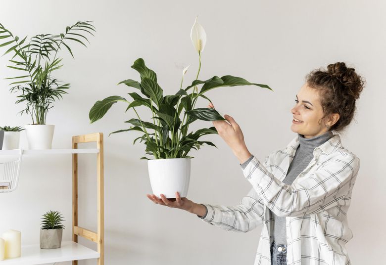 plante care te ajuta sa scapi de tantari