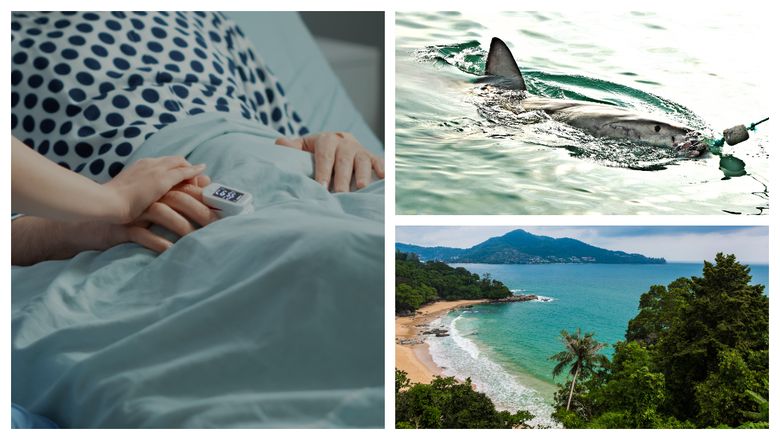 Ceea ce părea a fi o vacanță reușită, a devenit cel mai mare coșmar pentru o femeie britanică, după ce a fost atacată de un rechin în Jamaica!