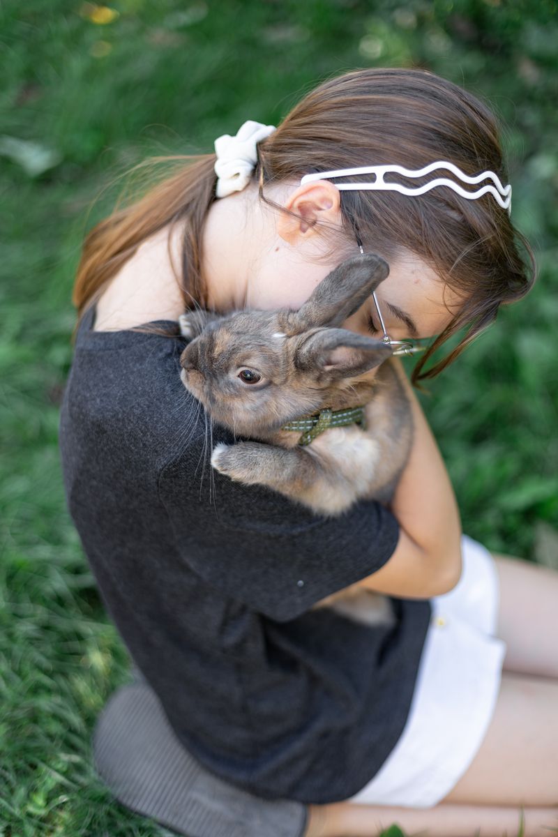 Ce animal de companie se potrivește în funcție de zodie