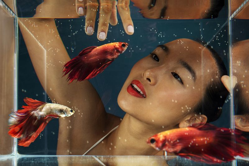 Ce animal de companie se potrivește în funcție de zodie