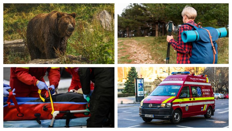 Urșii de pe Transfăgărășan fac din nou victime! O turistă în vârstă de 75 de ani, venită tocmai din Spania, a fost rănită grav după ce a fost mușcată de braț Urșii de pe Transfăgărășan fac din nou victime! O turistă în vârstă de 75 de ani, venită tocmai din Spania, a fost rănită grav după ce a fost mușcată de braț