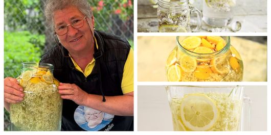 Cum pregătește bunica Lucreția socata, o băutură perfectă pentru zilele de vară. „Mamă, ce frumos miroase!”