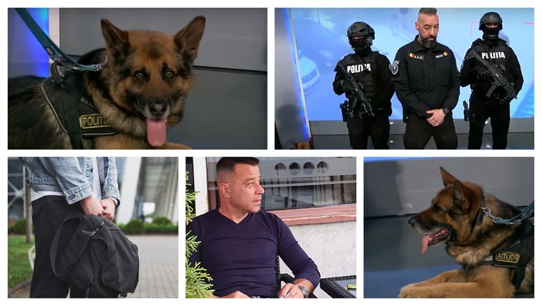 DAC, câinele erou, care a ajutat autoritățile la găsirea lui Robert Lupu.  Ce spune un ofițer de poliție despre întregul caz. “Vedea tot ce se întâmplă. Și-a dat seama că nu mai are scăpare.”
