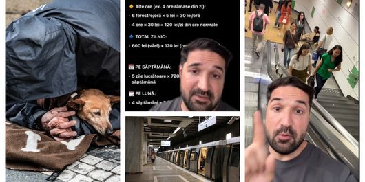 Cerșetoria, cu mult peste salariul unui medic sau IT-ist. Cât câștigă cei care se folosesc de animale pentru a atrage mila trecătorilor