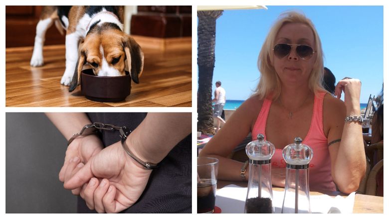 O femeie din Mallorca și-a primit sentința, după ce și-a ucis cu sânge rece soțul, apoi i l-a oferit câinelui să îl mănânce! O femeie din Mallorca și-a primit sentința, după ce și-a ucis cu sânge rece soțul, apoi i l-a oferit câinelui să îl mănânce!