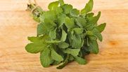 Ce se pune în salata de vară