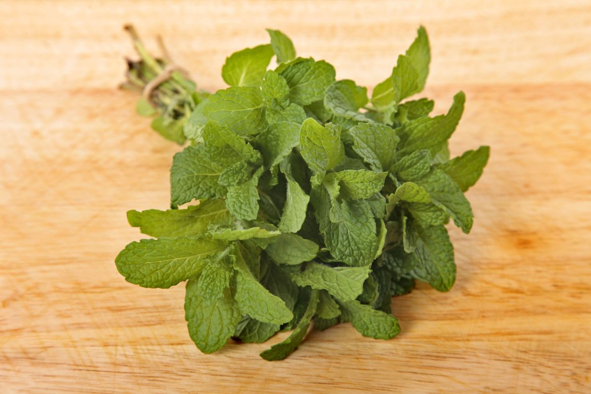 Ce se pune în salata de vară Ce se pune în salata de vară
