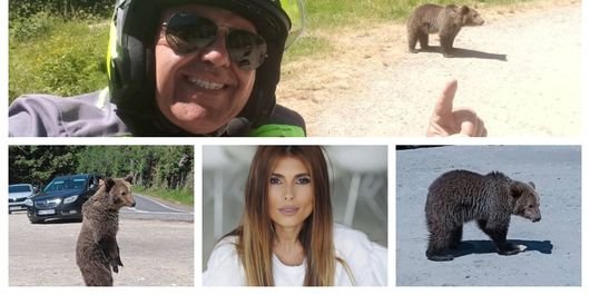 Ce spune Sânziana Negru după ce un bărbat a fost ucis de un urs, într-o zonă montană. Creatoarea de conținut a lăsat un mesaj. „Cred că și oamenii sunt destul de inconștienți.”