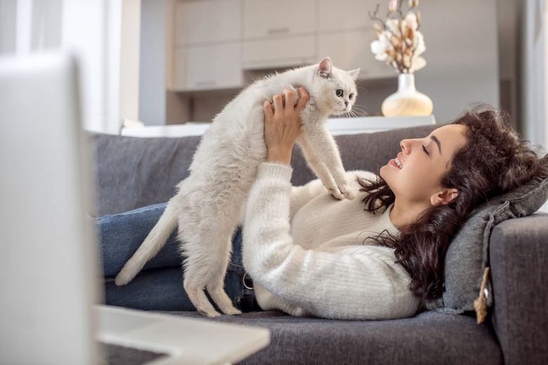 Metodele inedite prin care poți comunica cu pisica ta. Ce încearcă să-ți spună și cum să răspunzi corect