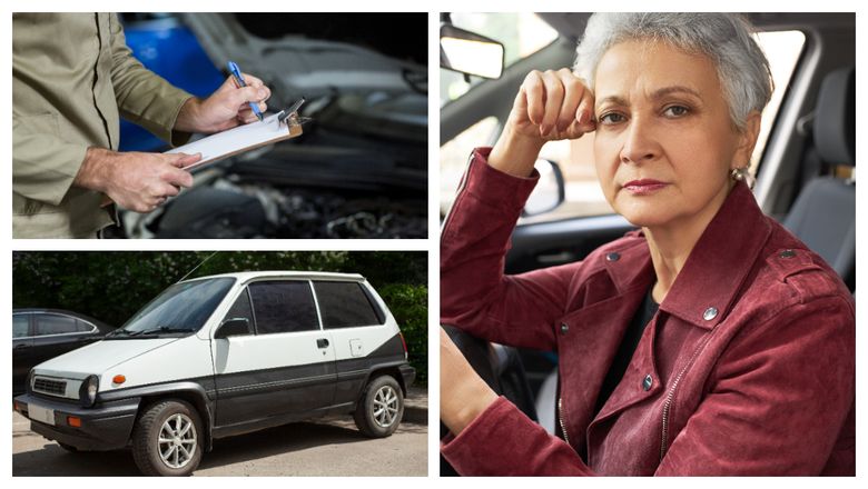 Ce noutăți a punctat Ministrul Mediului, Diana Buzoianu, cu privire la Programul Rabla? Au fost dezvăluite și valorile voucherelor