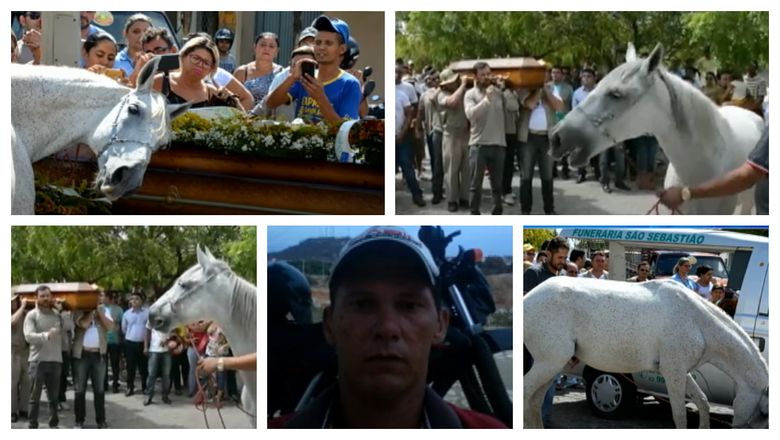 După ce un tânăr în vârstă de 34 de ani s-a stins din viață în urma unui accident rutier, calul său a luat parte la înmormântare! Imaginile îndurerate au făcut înconjurul lumii