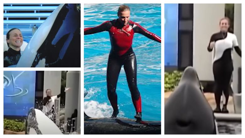 O dresoare a fost ucisă de o orcă, după ce i-a rupt coloana vertebrală și i-a smuls scalpul! Dawn Brancheau nu a mai avut nicio șansă să supraviețuiască