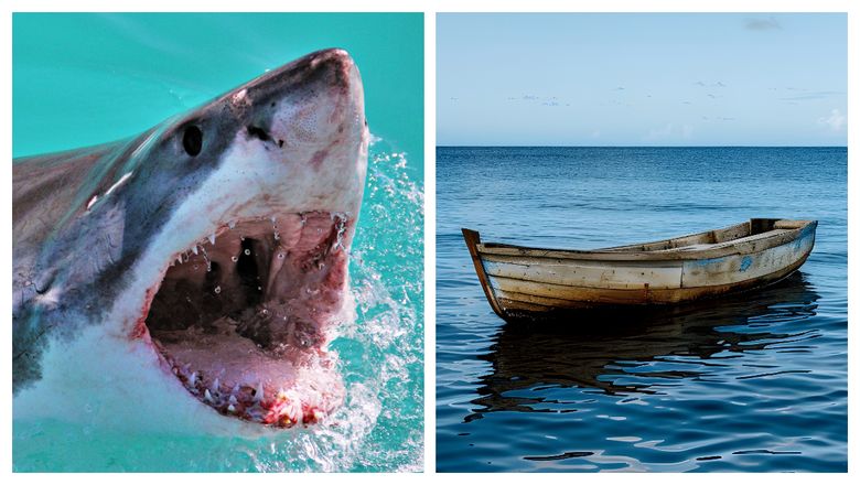 Un turist a fost sfâșiat de un rechin în timp ce se afla la pescuit. Bărbatul a fost transportat cu elicopterul la spital