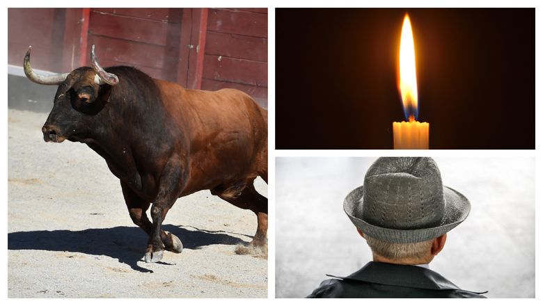 Un bărbat a murit în timpul programului de muncă! Acesta a fost găsit fără suflare, pe un teren din Cioboteni, lângă Miercurea-Ciuc, ucis de... un taur