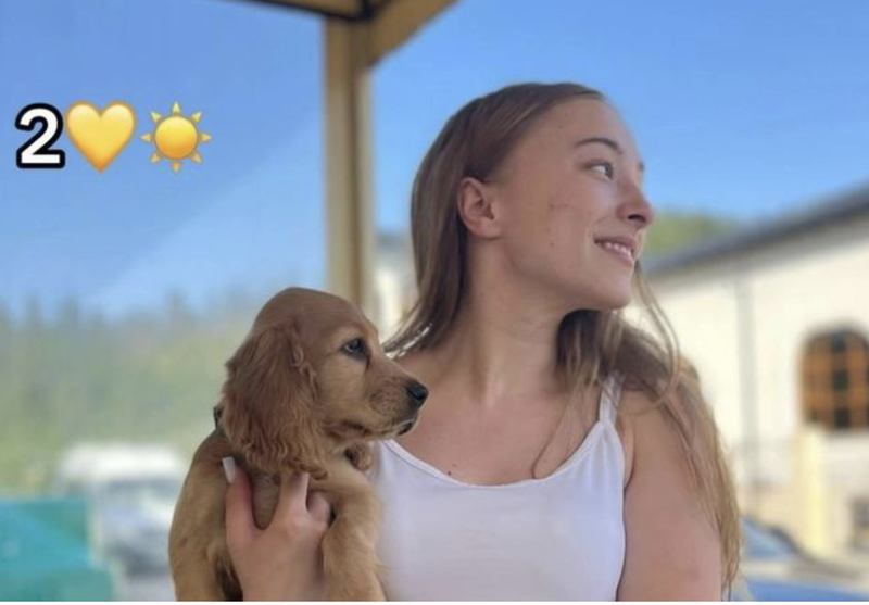 Ștefania-accident Argeș