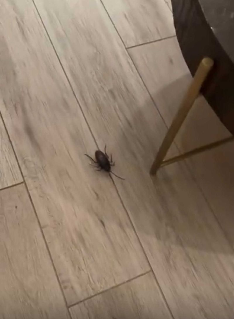 G&acirc;ndac &icirc;n camera de hotel