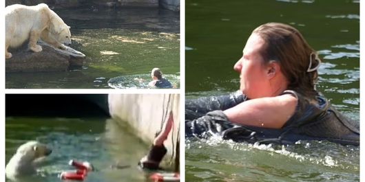 FOTO O femeie în vârstă de 32 de ani, s-a aruncat în apa urșilor polari de la o grădină zoologică din Berlin! Aceasta a scapăt, miraculos, cu viață