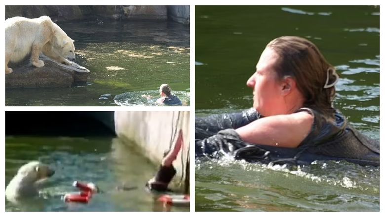 FOTO O femeie în vârstă de 32 de ani, s-a aruncat în apa urșilor polari de la o grădină zoologică din Berlin! Aceasta a scapăt, miraculos, cu viață
