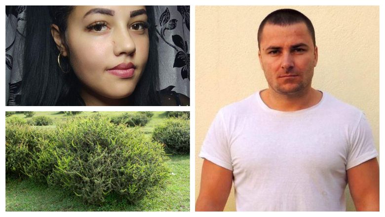 Noi actualizări apar în cazul crimei din Mureș! Bunica tinerei ucise cu sânge rece de Emil Gânj, a găsit arma crimei, chiar în apropiere de casă
