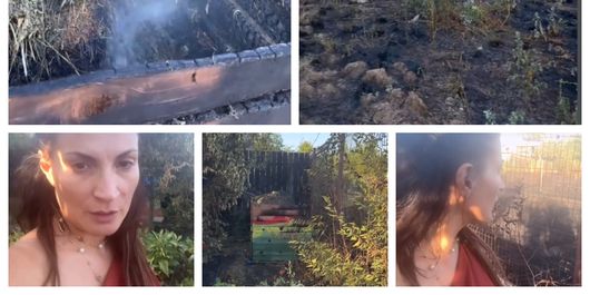 Clipe de panică pentru Ioana Ginghină! Un vecin a dat foc în grădină, însă focul a ajuns și aproape de propria ei casă